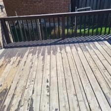 Professional-Deck-Staining-Project-in-Peterborough-ON 1